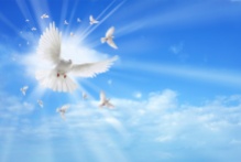 Holy spirit dove flying in the sky
