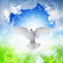 Holy Spirit came down like white dove, holy spirit dove flies in blue sky, bright light shines from heaven, gospel story - White dove flies in skies
