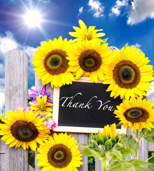 Vielen Herzlichen Dank - Liebe Sonnenblumen :)